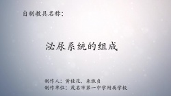 第八届广东省优秀自制教具展评教师作品《 泌尿系统的组成》