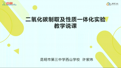 二氧化碳制取及性质一体化实验