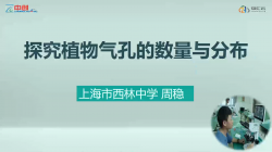 探究植物气孔的数量与分布