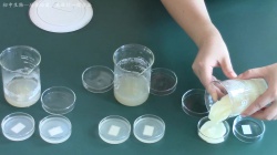 培养细菌、真菌的一般方法