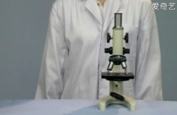 初中生物实验 练习使用显微镜